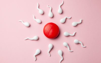 IVF