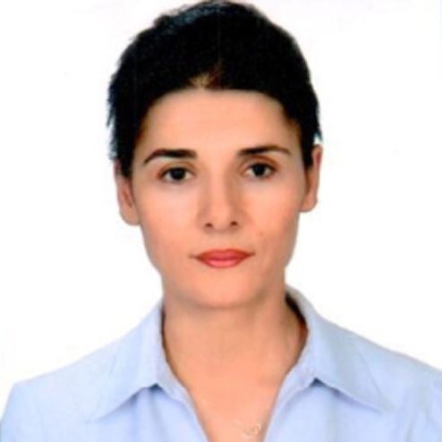Dr. (TR) Nurgül Basogul