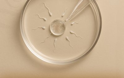 IVF – ein präziser Weg zum Wunschkind