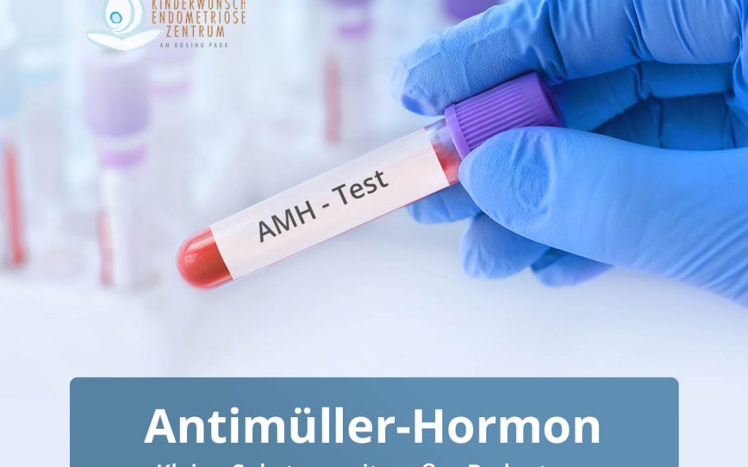 Antimüller-Hormon (AMH)