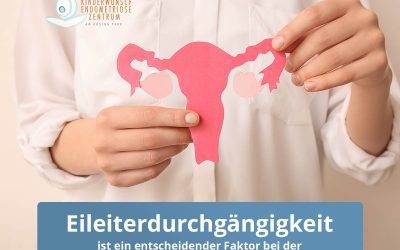 Einblick in die Fruchtbarkeit: Eileiterdurchgängigkeit