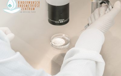 IVF