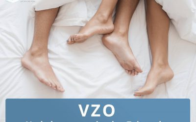 Verkehr zum optimalen Zeitpunkt (VZO)