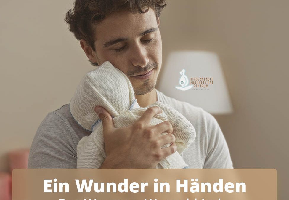 Wunder